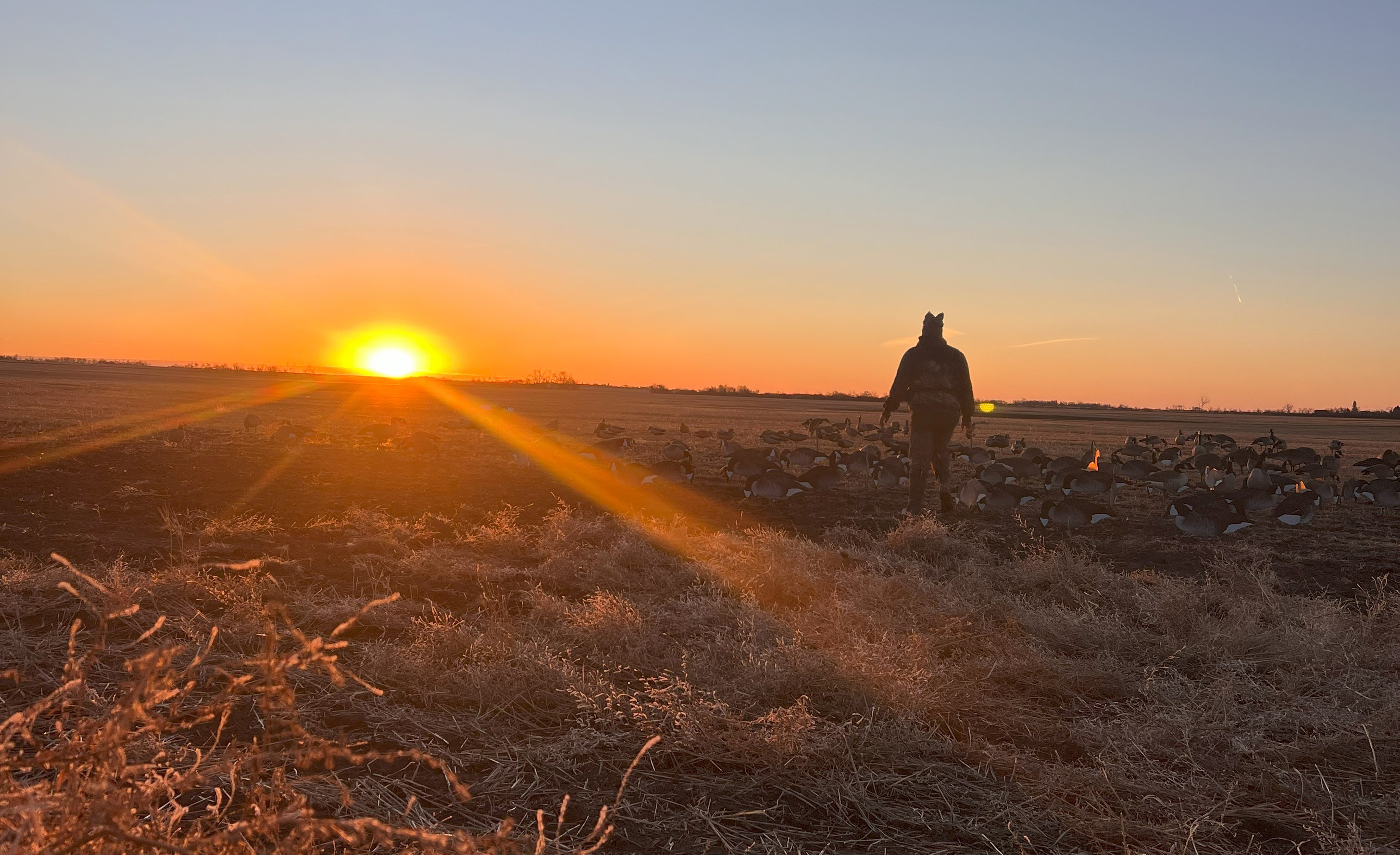 Duck bird hunting packages — Aurora Wings Outfitters – Aurora Wings Outfitters